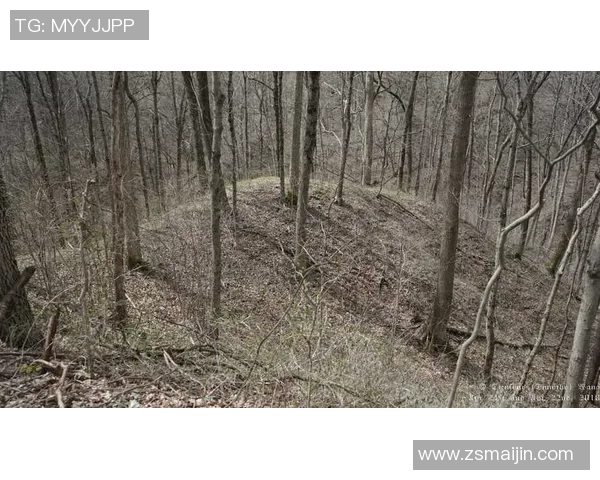 辛辛那提荷兰狮与代顿荷兰狮的精彩对决解析与赛后点评